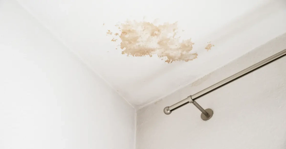 Copie de mur(11)