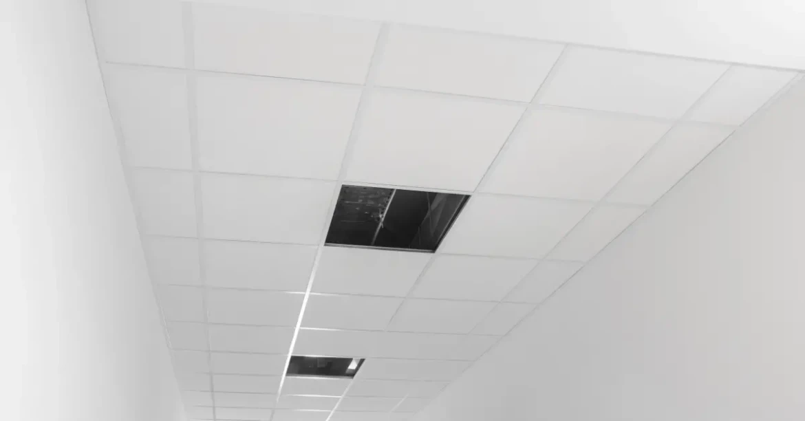 Copie de mur (7)